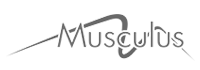 Musculus